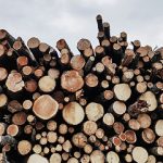 blog-image5